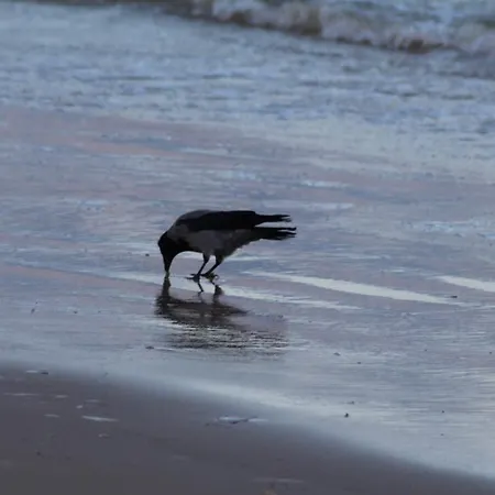 Z Hustawka Bel Mare 아파트