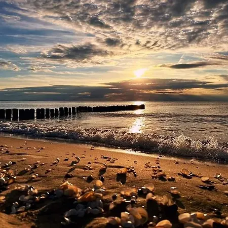 Z Hustawka Bel Mare *