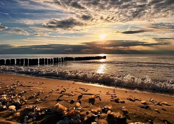 Z Hustawka Bel Mare *